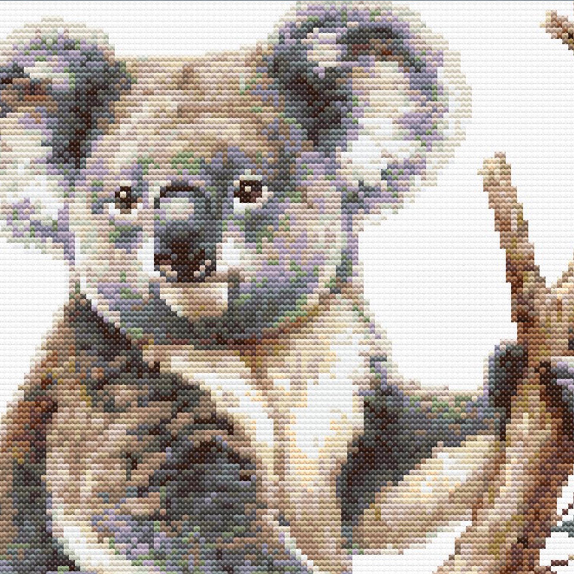 Close-up of Koala Cross Stitch Pattern showing the koala face, soft fur texture, eucalyptus leaves, and visible counted cross stitch detail.