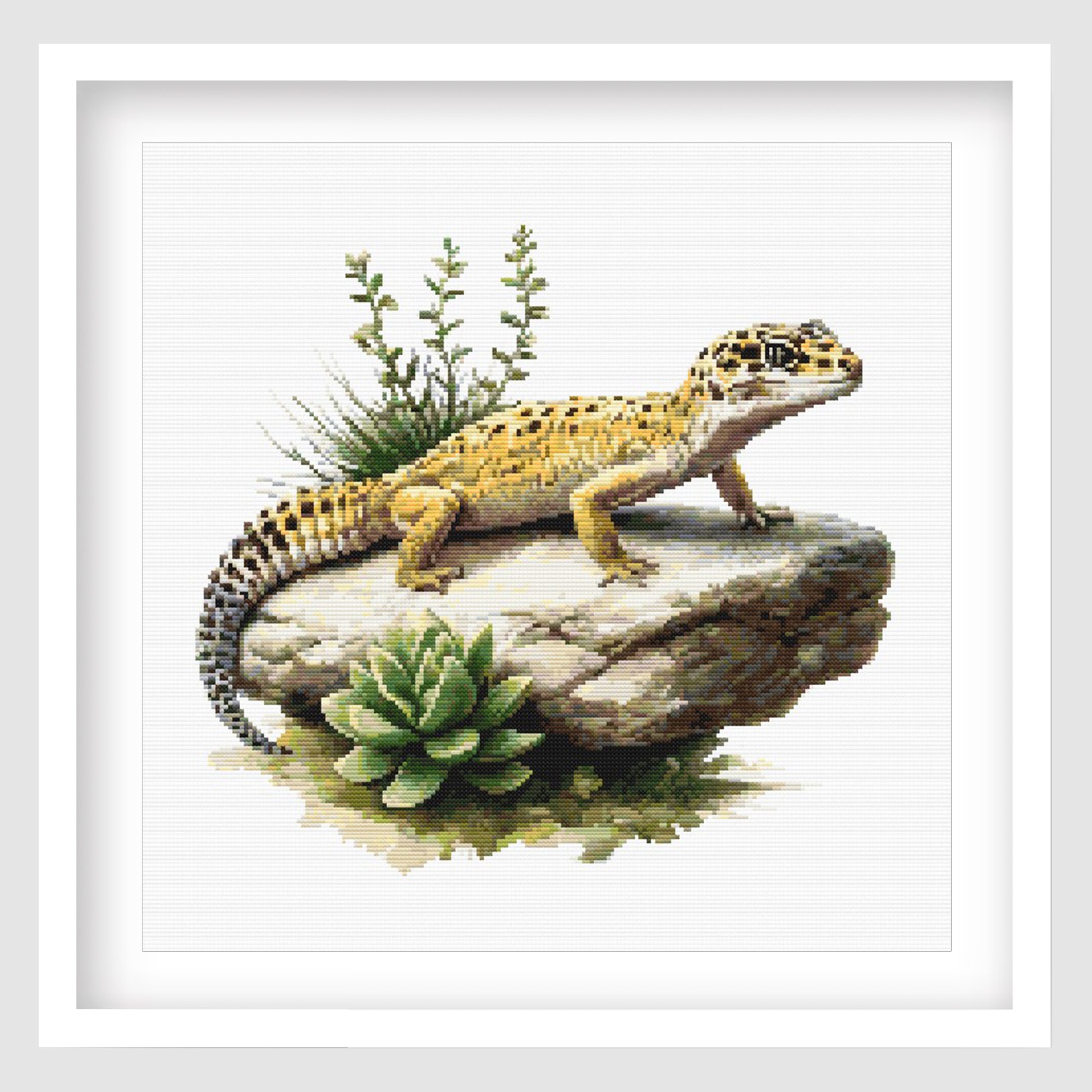 Lizard on a rock with plants in a white frame