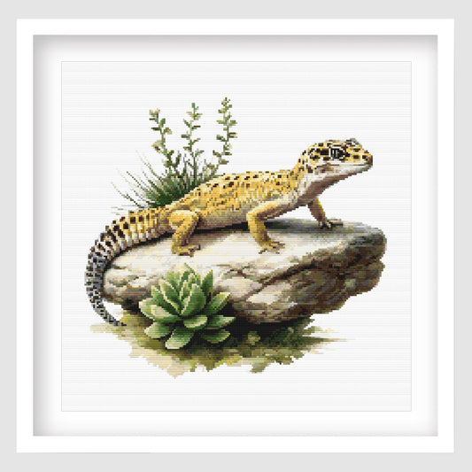 Lizard on a rock with plants in a white frame
