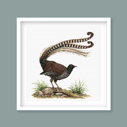 Complete Australian Lyrebird cross stitch pattern displayed on a clean white background with the full design visible.