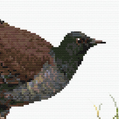 Close-up of the Australian Lyrebird cross stitch pattern showing detailed feather textures, earthy colours, and realistic stitching.