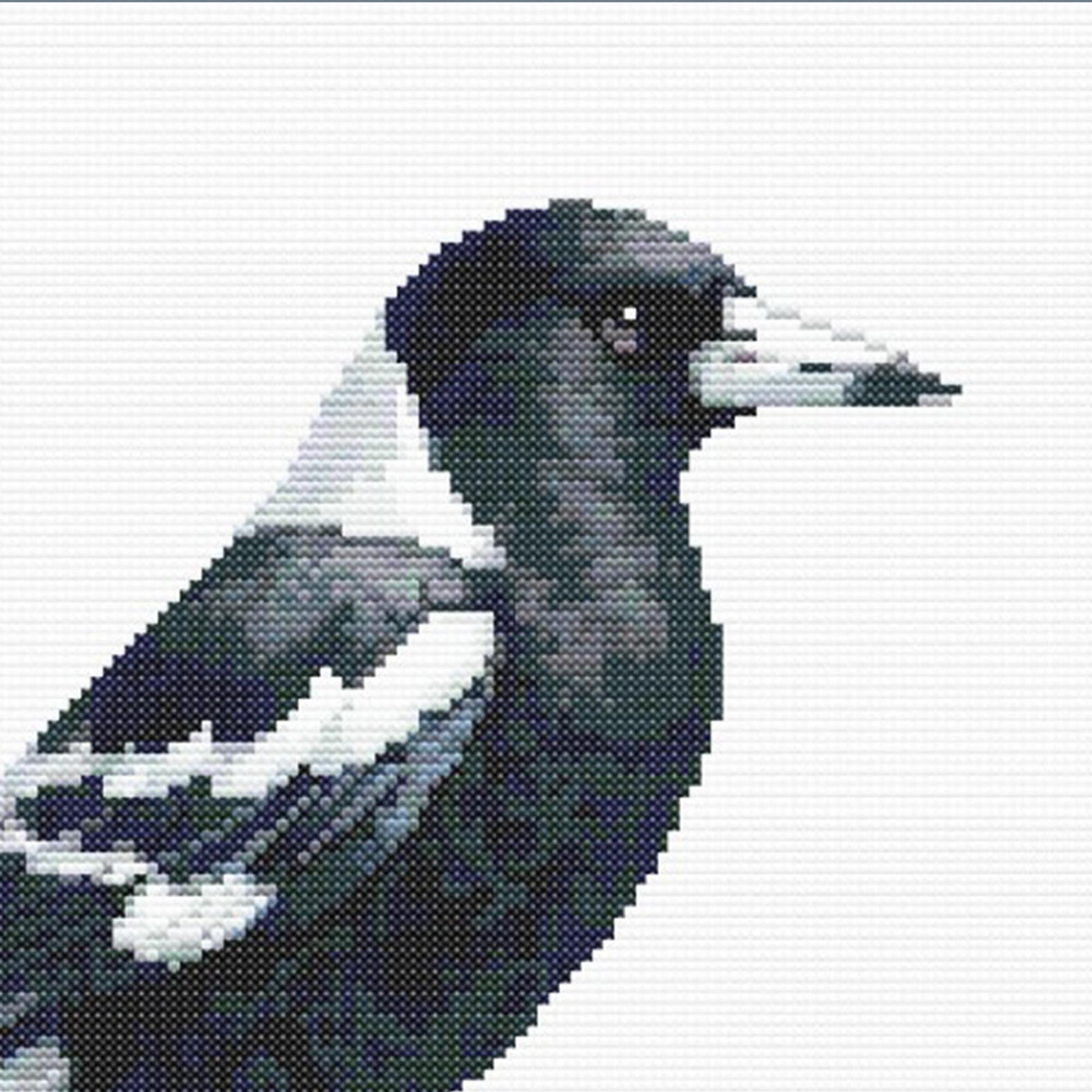 Close up of a Magpie Cross Stitch Pattern: Australian Bird Needlework