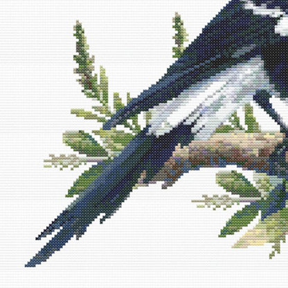 Close up of the magpie focussing on the detail and ht e tail feathers. The branch has some leaves.