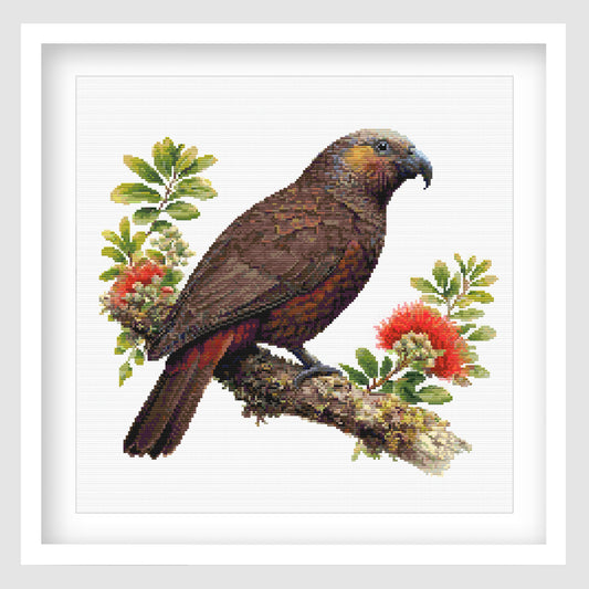 New Zealand Kākā Cross Stitch Pattern displayed as framed wall art with a native kākā bird, red pōhutukawa flowers, green foliage, and natural New Zealand detail.