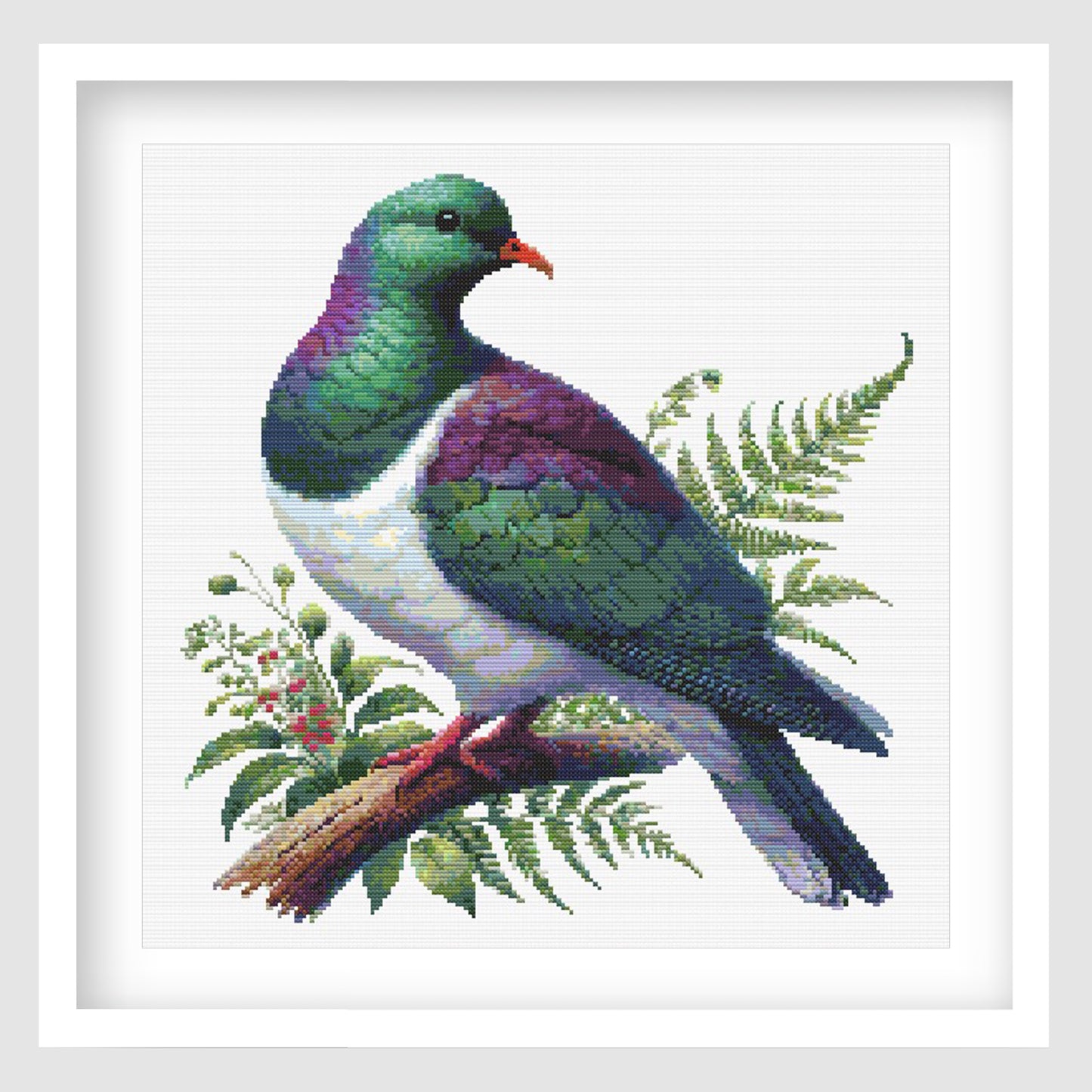 New Zealand Kererū Cross Stitch Pattern displayed as framed wall art with a native wood pigeon, green and purple feathers, fern foliage, and natural bird detail.