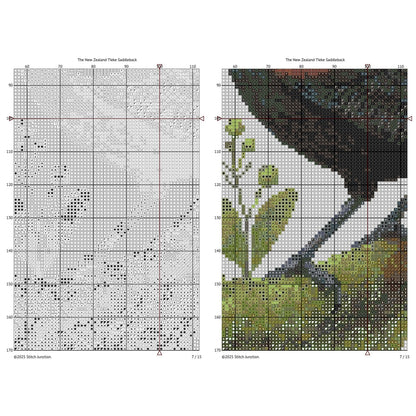 Cross-stitch pattern for a New Zealand Saddleback with grid and color chart.