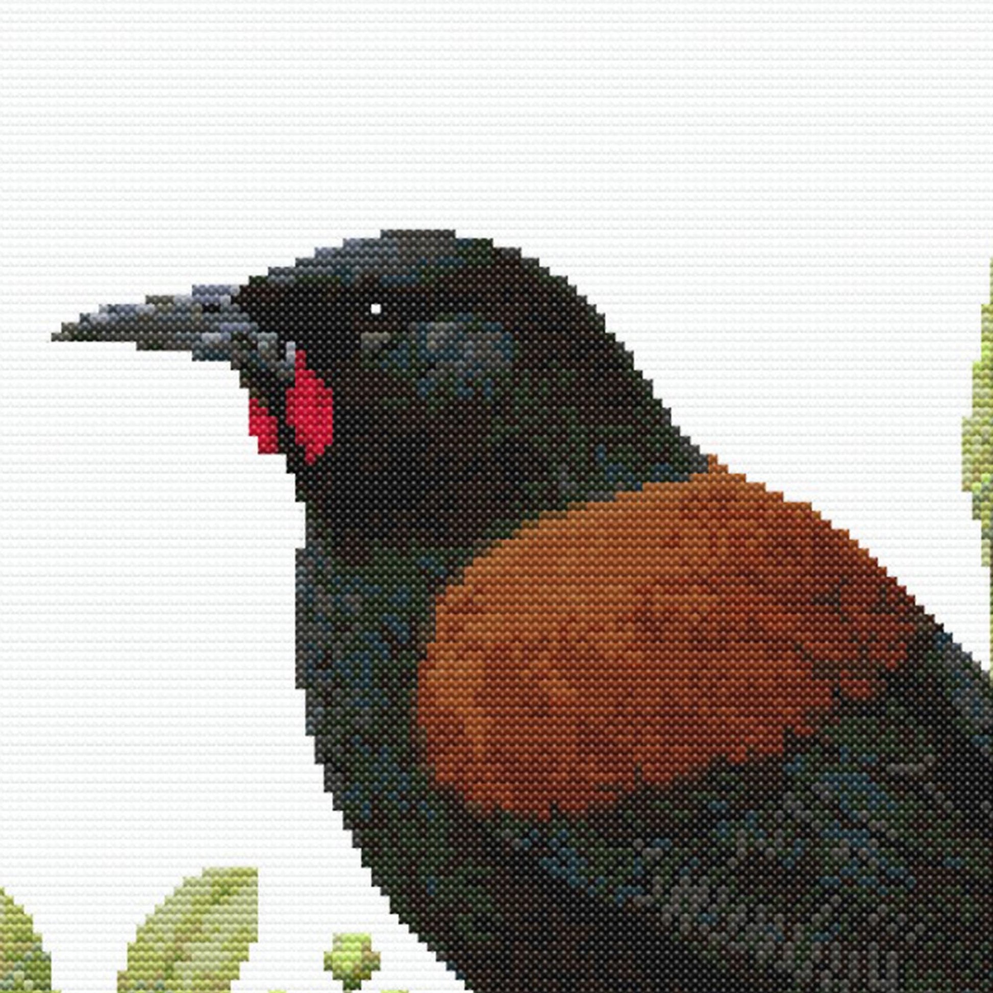 Close up of a New Zealand Saddleback Cross Stitch Pattern - digita download by Stitch Junction
