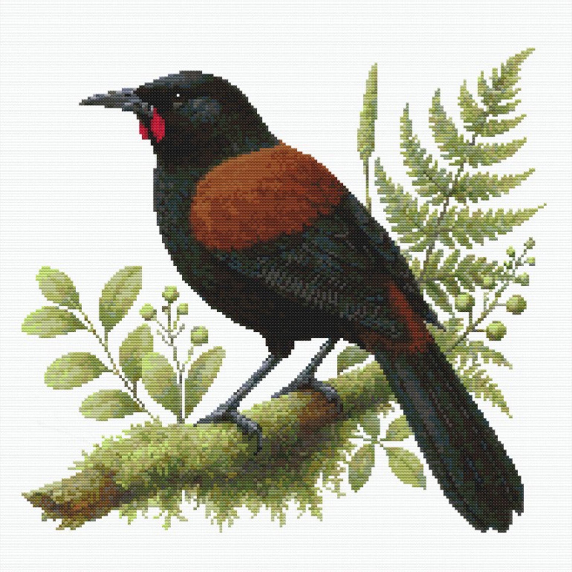 New Zealand Saddleback with brown and black plumage on a branch with green leaves and ferns.