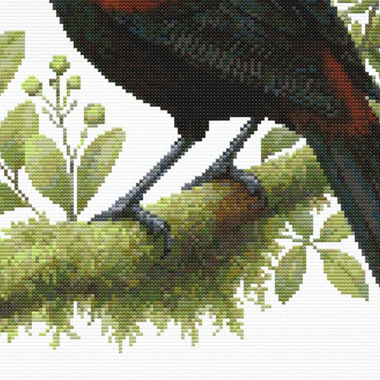 Close up of a New Zealand Saddleback Cross Stitch Pattern - digital download by Stitch Junction