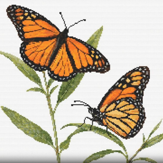 Video of Monarch Butterfly cross stitch pattern being stitched. the pattern builds up with the use of differernt colour threads