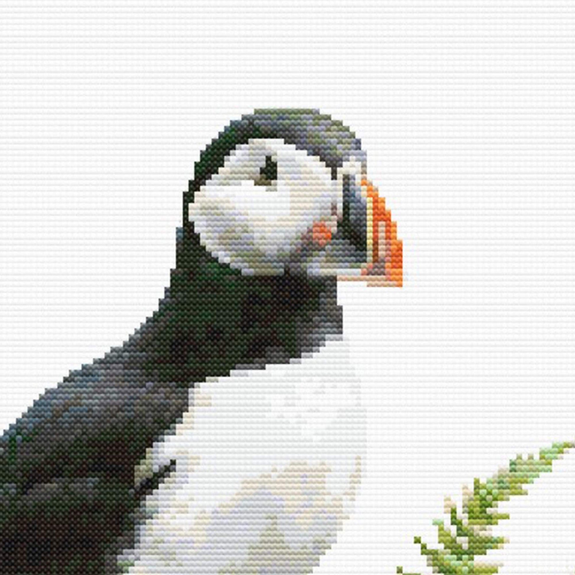 Close-up of Puffin Cross Stitch Pattern showing the puffin’s face, black-and-white markings, orange beak, and soft bird detail.