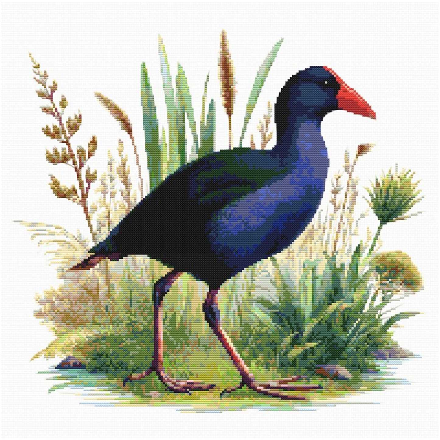Pukeko Bird Cross Stitch Pattern featuring a native New Zealand pukeko standing among grasses with bold blue, black, and red bird colouring.