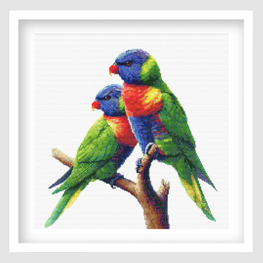 Rainbow lorikeets cross stitch pattern featuring two colourful green, blue, red and yellow birds perched on a branch, shown as framed wall art.