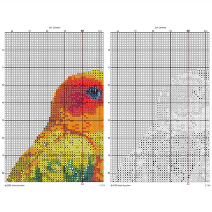 Sun Conure Cross Stitch Pattern digital download chart preview with colour symbols and black-and-white symbol chart for printable counted cross stitch.