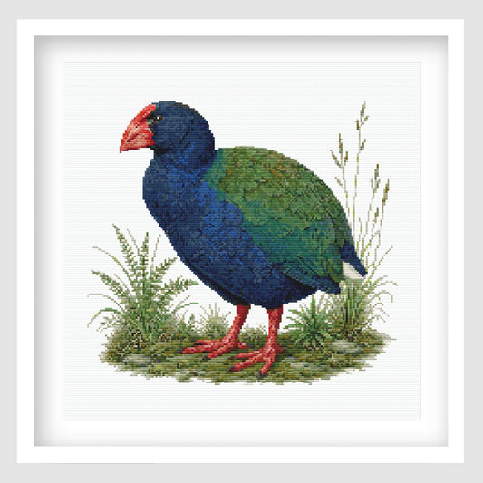 Takahē Cross Stitch Pattern displayed as framed wall art with a native New Zealand takahē, blue and green feathers, red beak, and grass detail.