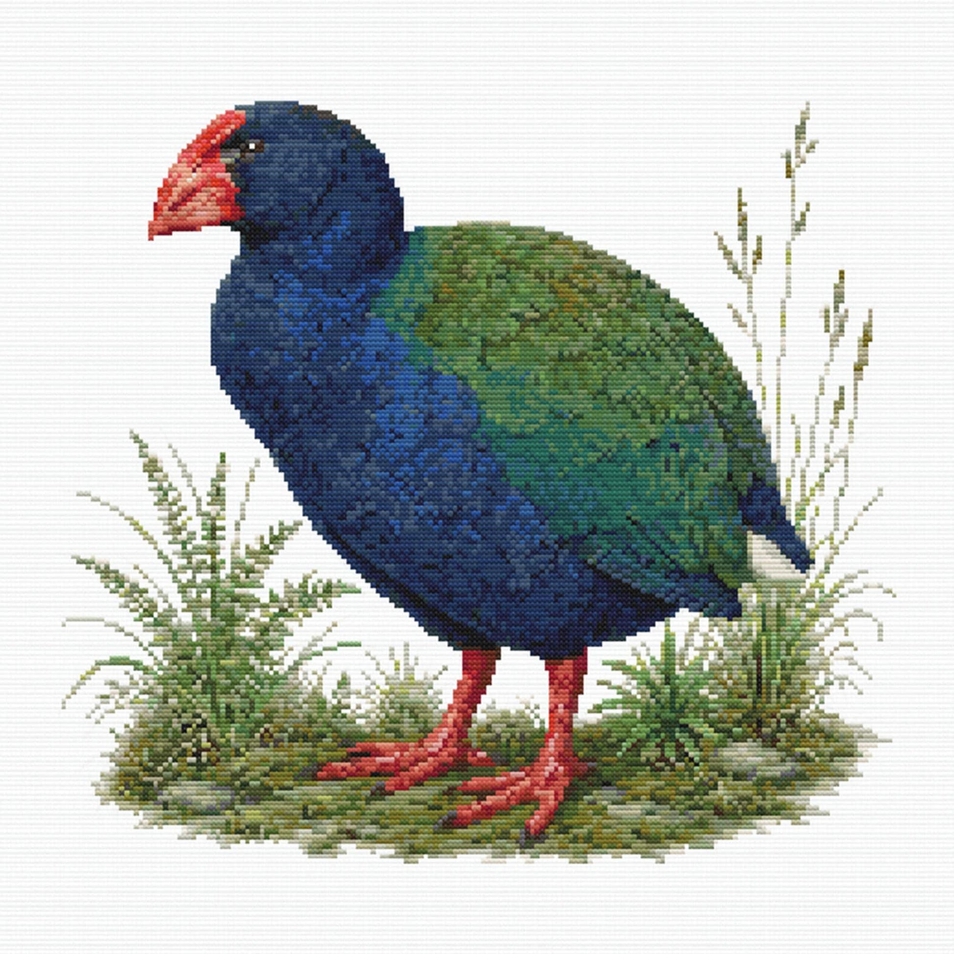 Takahē Cross Stitch Pattern featuring a native New Zealand takahē standing in grass with bold blue-green feathers and a red beak.