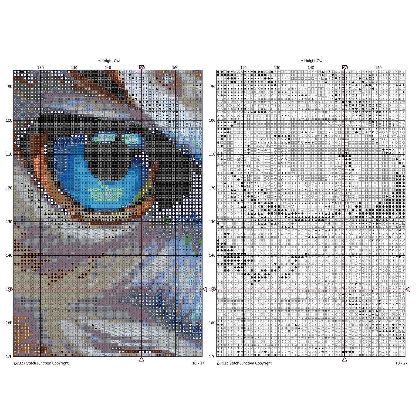 Cross-stitch pattern for a detailed eye design with a grid on a white background a digital download PDF