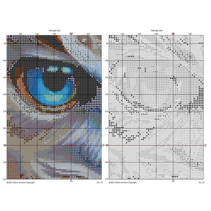 Cross-stitch pattern for a detailed eye design with a grid on a white background a digital download PDF