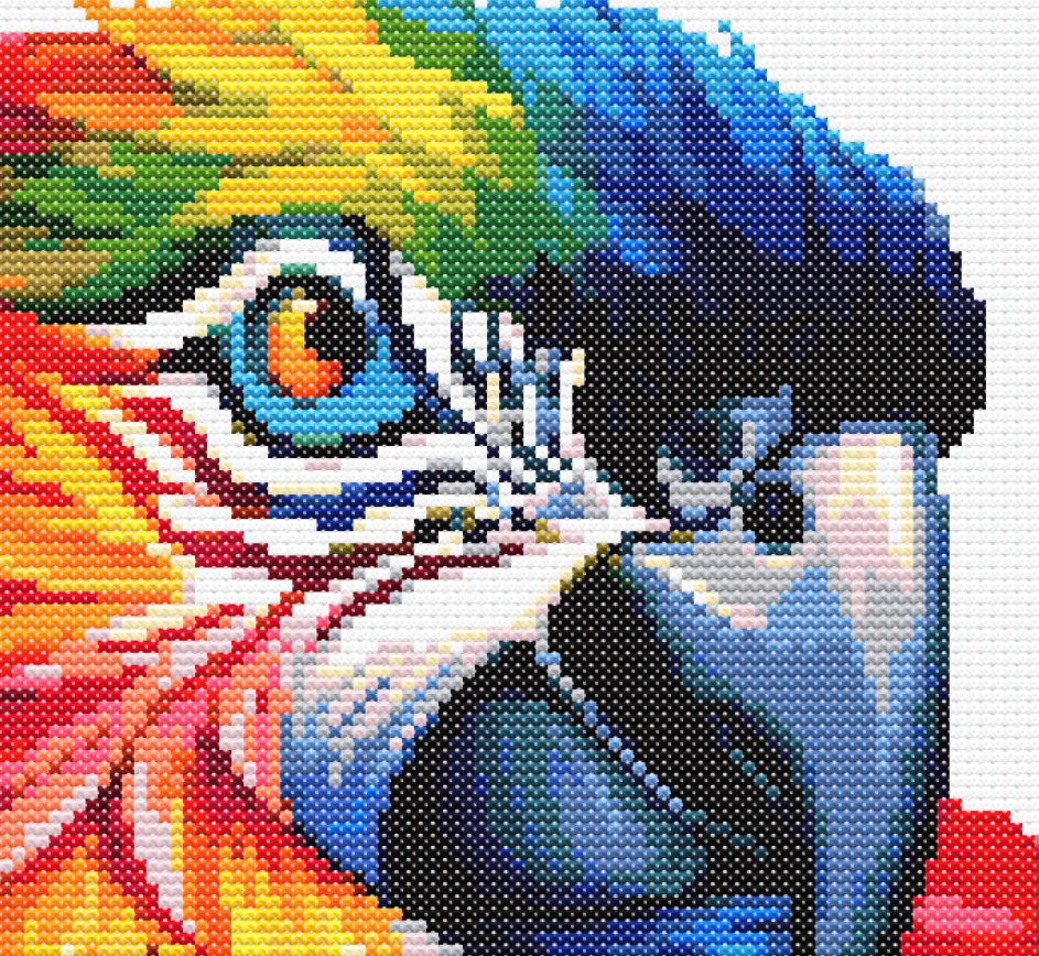 Close up of a colourfl parrot cross stitch.