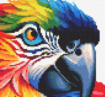 Close up of a colourfl parrot cross stitch.