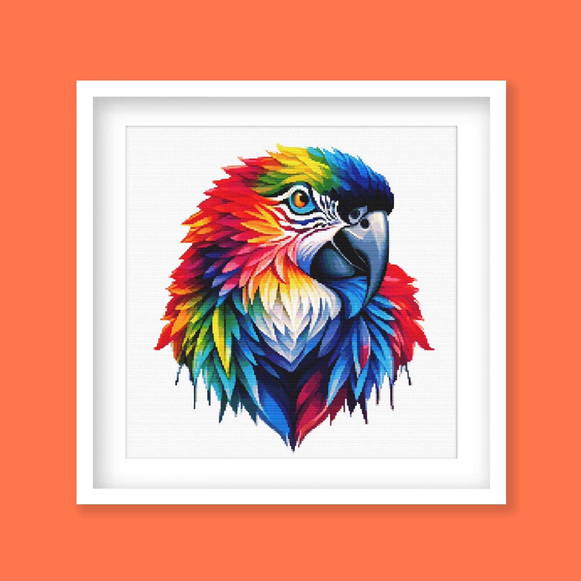Colorful parrot illustration in a white frame on an orange background